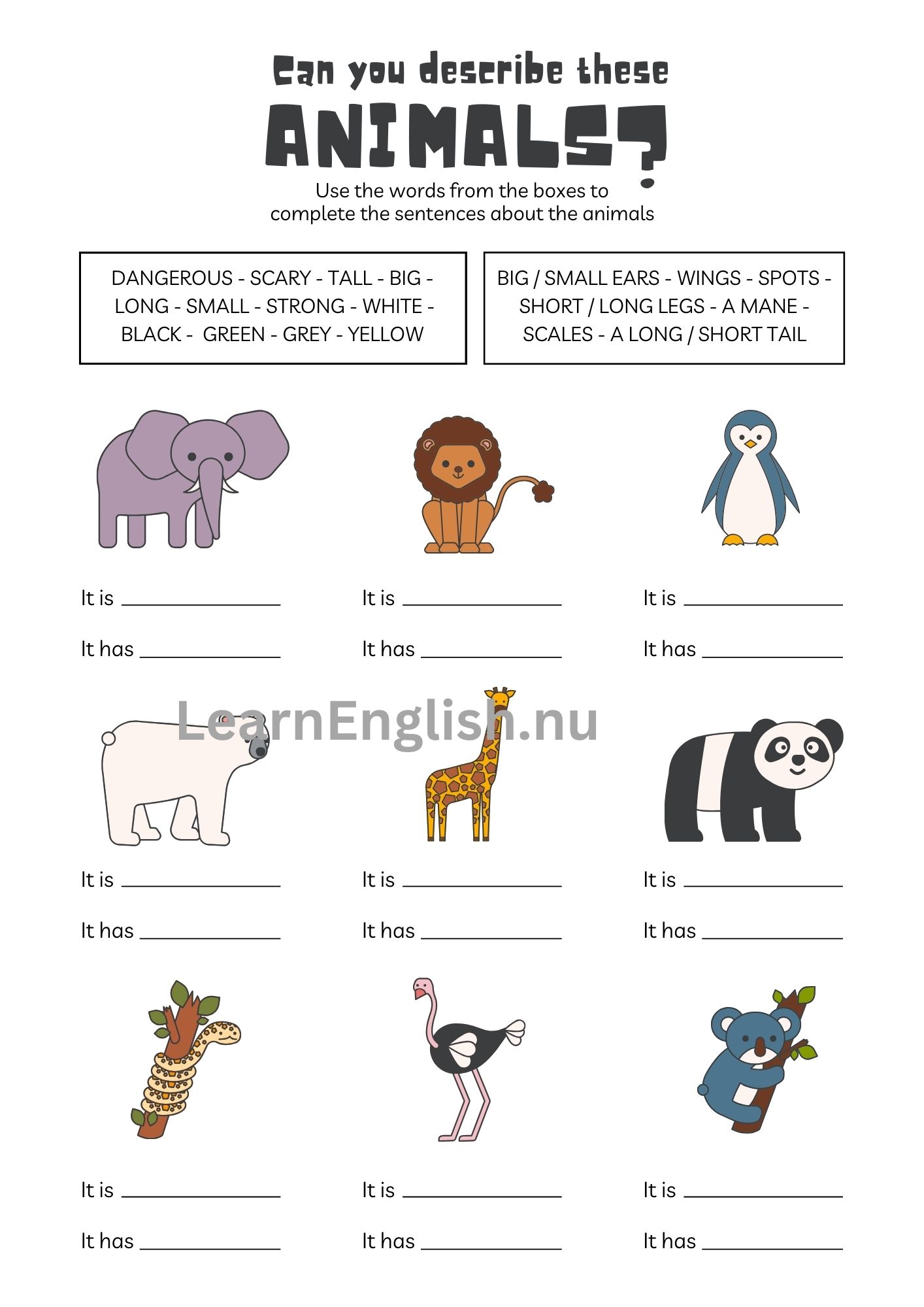 اسماء الحيوانات بالانجليزي بالصور والصوت